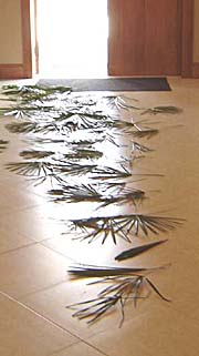 Palm branches on the entry hall floor at King of Peace