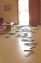 Palm branches on the floor in the entry hall