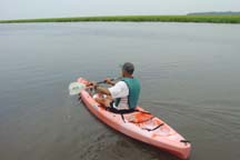 Sea Kayaking on Honey Creek